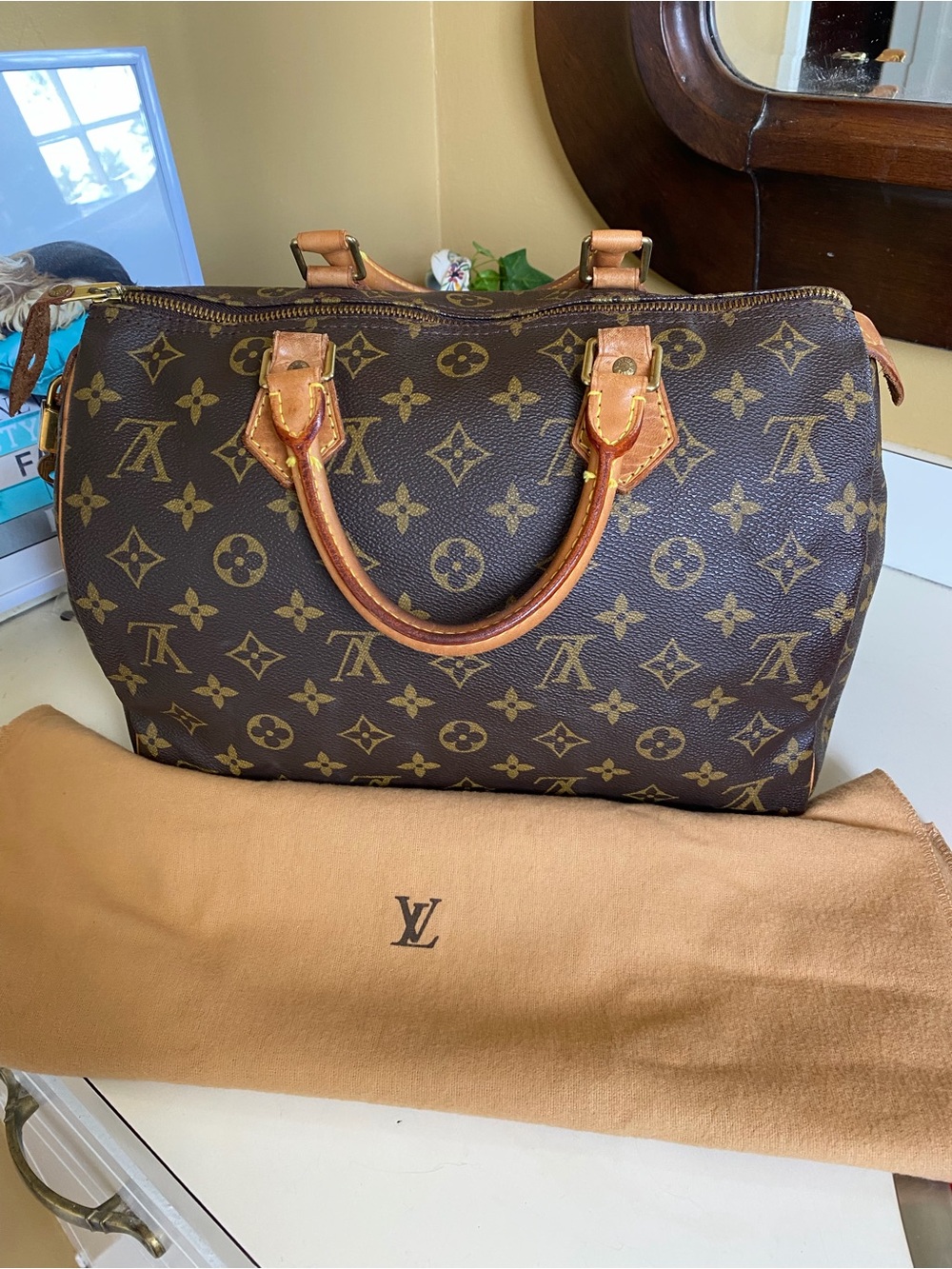Louis Vuitton  Spèedy 30 Monogram Satchel